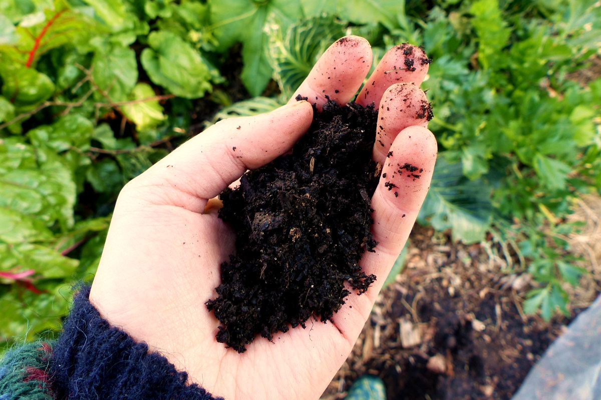 Kompost anlegen: Hand mit Kompost