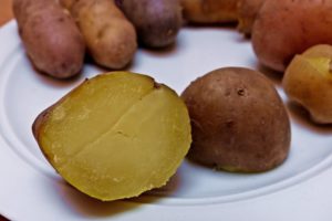 Kartoffelsorten-für-Garten-Ackersegen