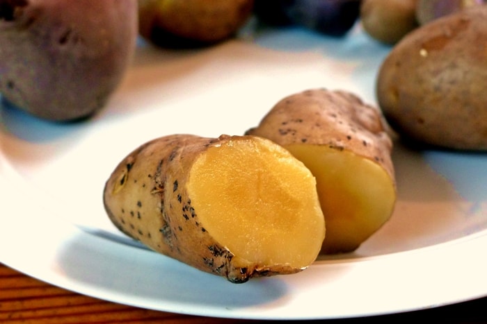 Kartoffelsorten-für-Garten-Bamberger-Hörnchen