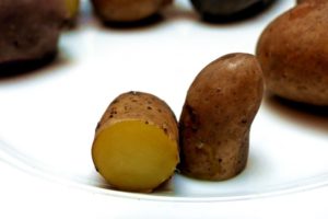 Kartoffelsorten-für-Garten-La-Ratte