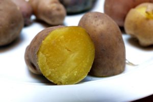 Kartoffelsorten-für-Garten-Mayan-Gold