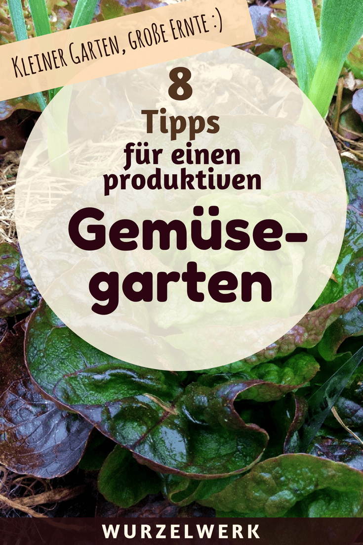 Kleiner Garten, große Ernte: Auch auf kleiner Fläche kann man eine Menge Gemüse anbauen. Hier kommen 8 Tipps für einen produktiven Gemüsegarten. #UrbanGardening #Garten