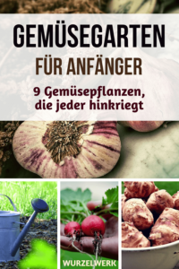 Gemüsegarten-Anfänger aufgepasst: Hier sind neun Ideen für Gemüsepflanzen, die jeder hinkriegt. Für einen produktiven Garten, auch ohne grünen Daumen und jahrelange Garten-Erfahrung. :) #Gemüsegarten #Gartenideen #Wurzelwerk #Selbstversorgung