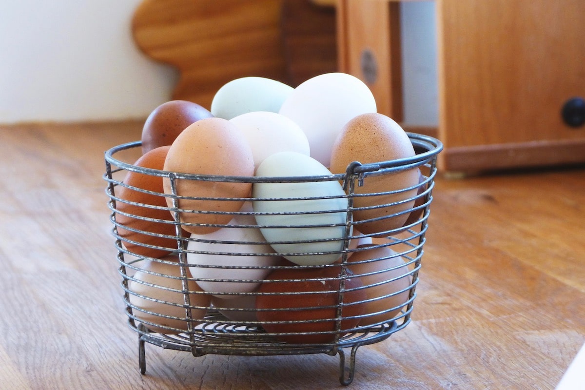 Eier haltbar machen. 