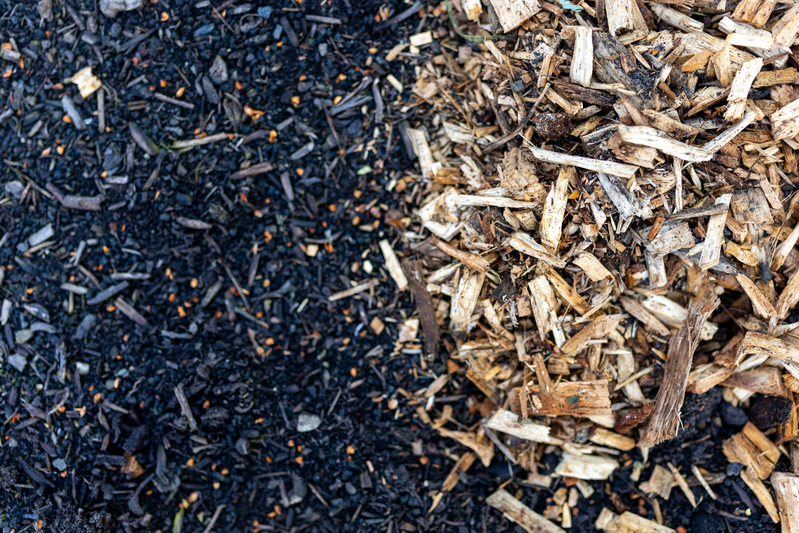 Unkrautfrei gärtnern mit Mulch