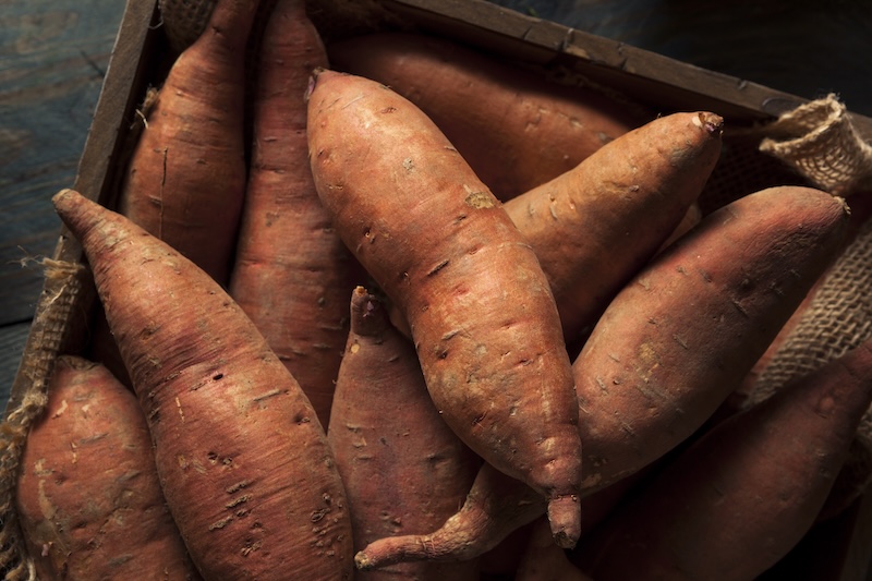 Süßkartoffeln, aus denen man Stecklinge ziehen kann Süßkartoffeln, aus denen man Stecklinge ziehen kann