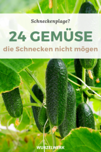 schnecken