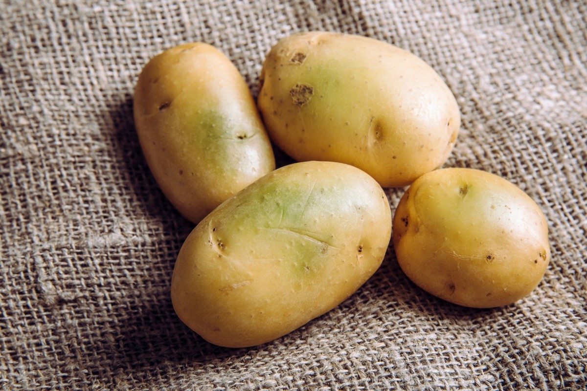 grüne Kartoffeln in gelbe verwandeln