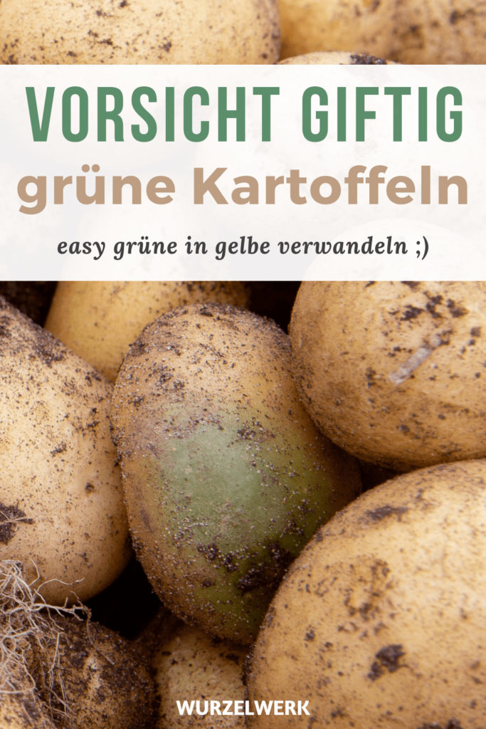Grüne Kartoffeln verwandeln