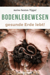 Bodenlebewesen fördern Pin
