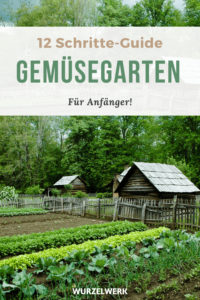 GEmüse_anbauen_pin