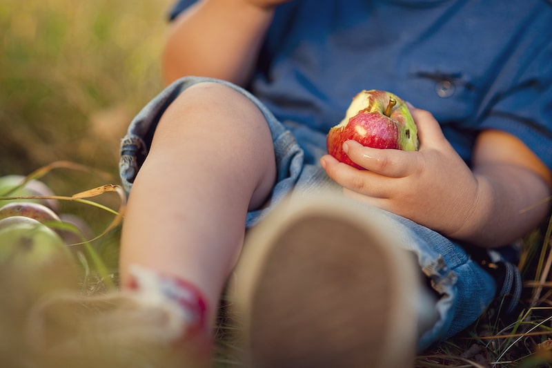 Alte Apfelsorten für Kinder erhalten