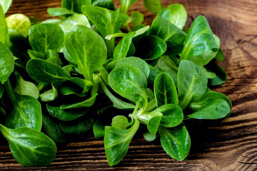 Feldsalat auf Holzuntergrund