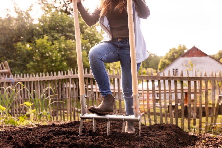 Doppelgrabegabel fürs Gemüsebeet