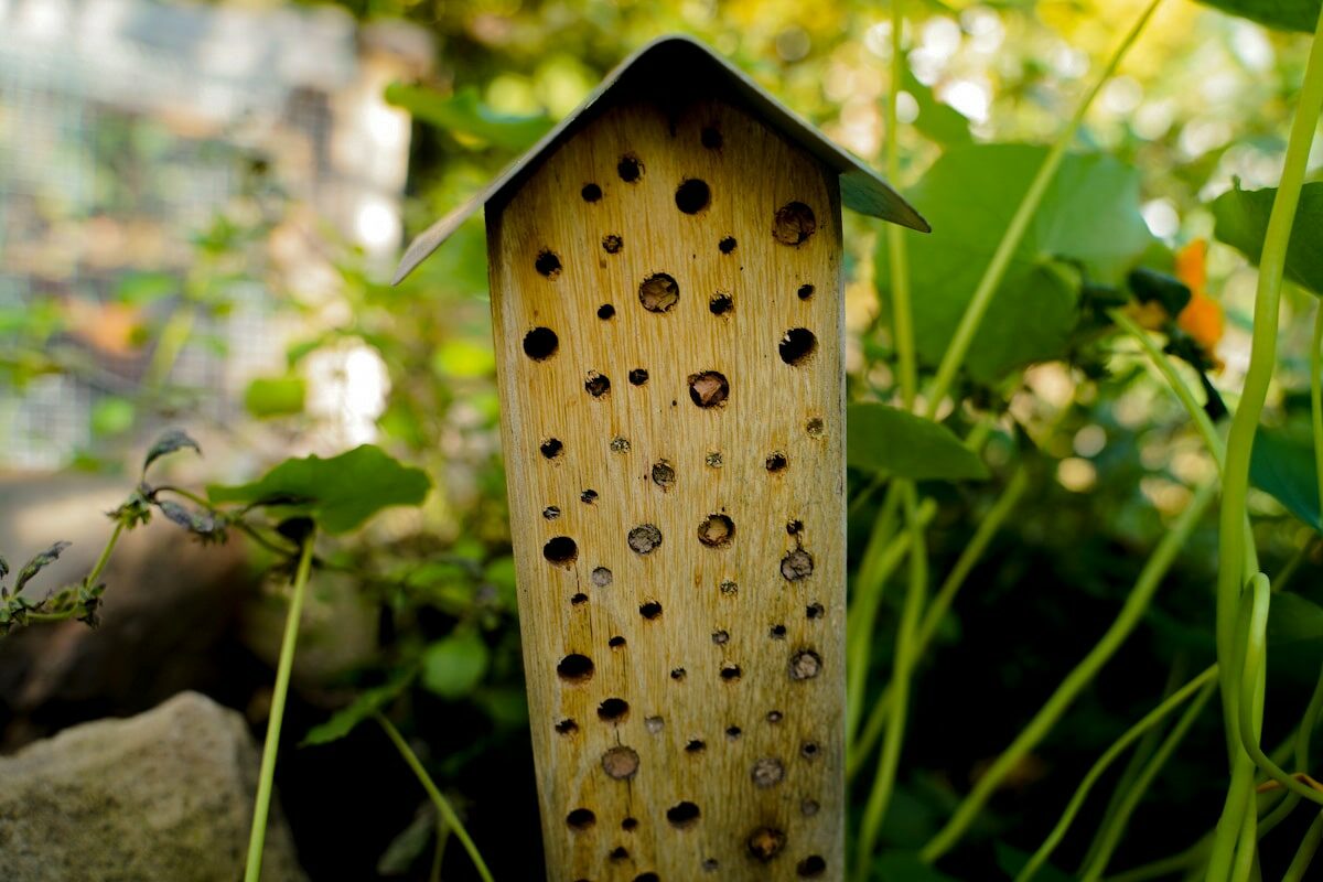 Wildbienenhotel: Insektenhotel