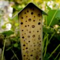 Wildbienenhotel: Insektenhotel