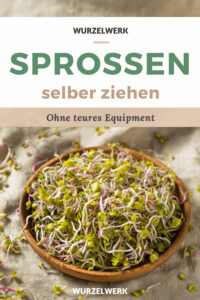 Sprossen ziehen Sprossen ziehen