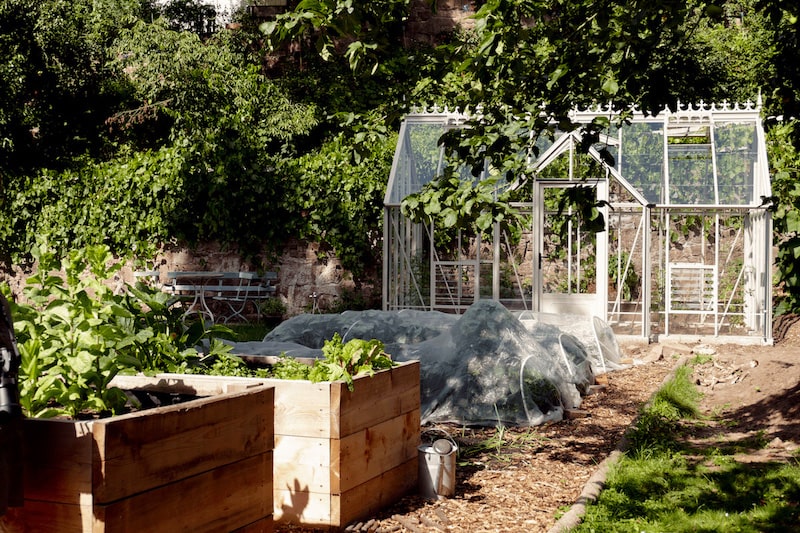 Gewächshaus Bepflanzen: Garten mit Gewächshaus