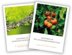 Gemüsegarten starten Wurzelwerk