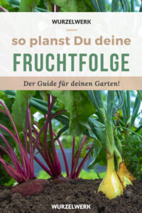 Merk dir den Artikel auf Pinterest! Merk dir den Artikel auf Pinterest!