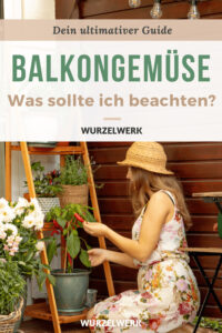 Balkongemüse
