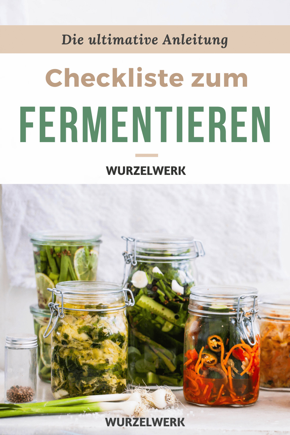 Gemüse fermentieren: Einfach lecker! – Wurzelwerk