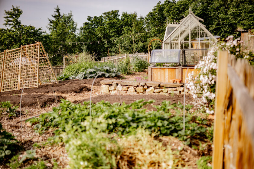 Gemüsegarten anlegen