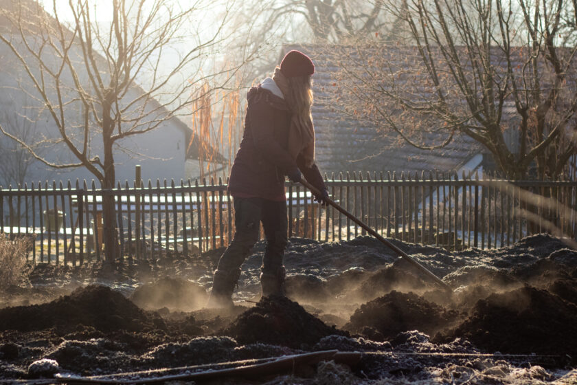 Gemüsebeet anlegen ohne umgraben