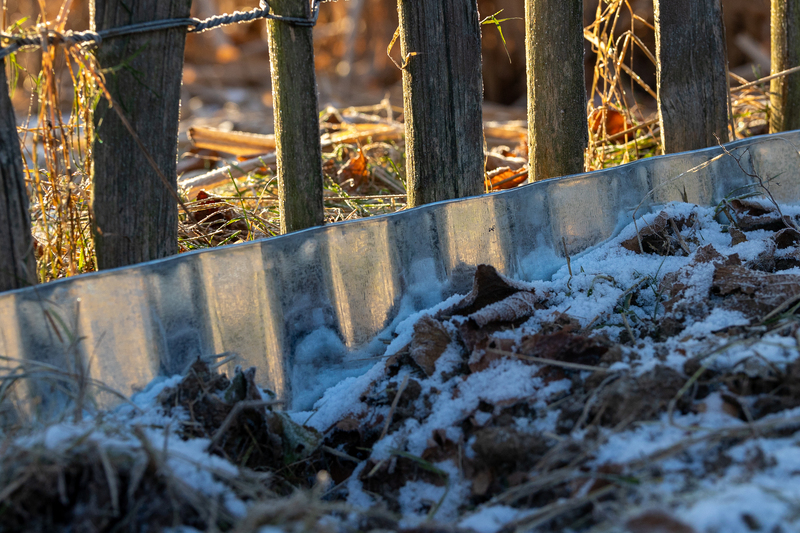 Gemüsebeete anlegen mit Rasenkante