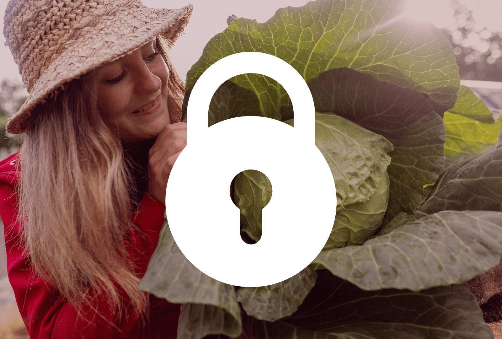 Sauerkraut fermentieren