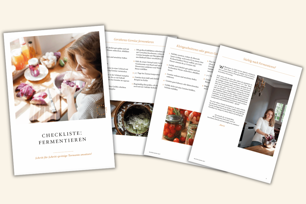 Fermentieren Checkliste