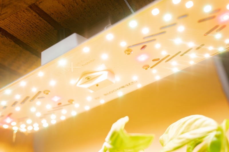 Pflanzenlampe von Wurzelwerk