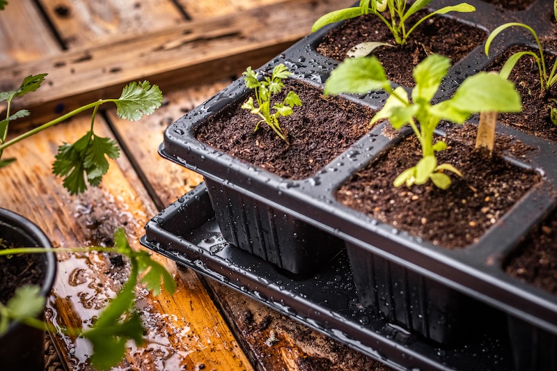 Quickpot Anzuchtplatte