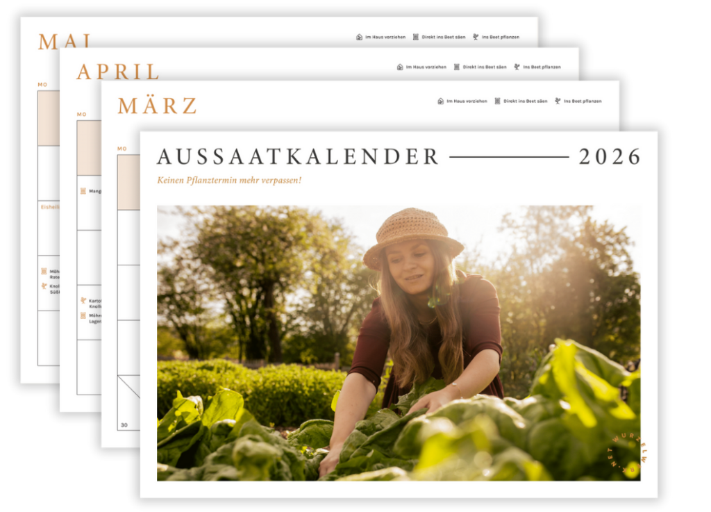 Wurzelwerk Aussaatkalender 2026
