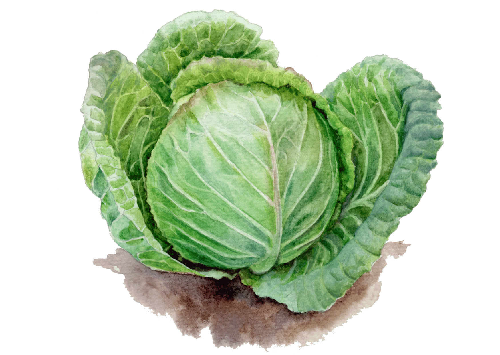 launchmails 2025 GS Bilder(9)