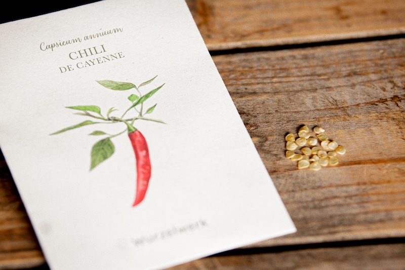 Chili Samen im Tütchen Chili Samen im Tütchen