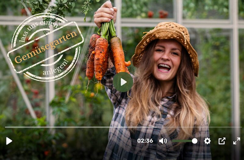 Lass uns deinen Gemüsegarten anlegen!