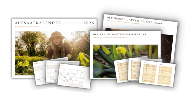 Vorschau GS Aussaatkalender & Pflanzpläne